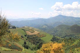 Camino de Santiago Walking Holidays