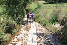 Camino de Santiago Walking Holidays