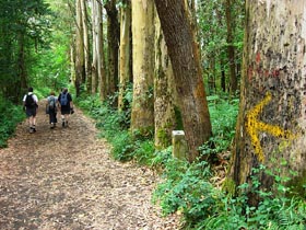 Camino de Santiago Walking Holidays