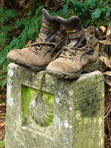 Camino de Santiago Walking Holidays