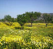 Walks in Spain