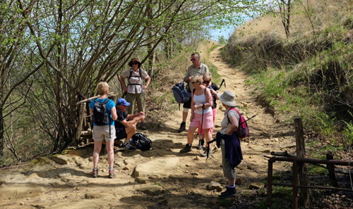 Camino de Santiago Walking Holidays