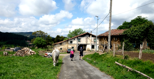 Camino de Santiago Walking Holidays